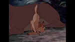 Bambi picture