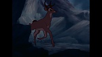 Bambi picture