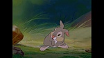 Image Bambi