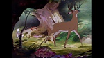 Image Bambi