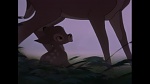 Image Bambi