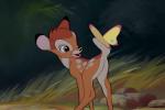 Pr�sentation g�n�rale de Bambi