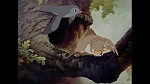 Image Bambi