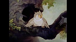Image Bambi