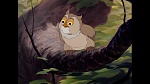 Image Bambi