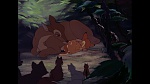 Image Bambi