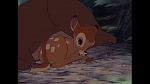 Image Bambi