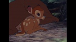Image Bambi