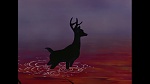Image Bambi