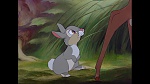 Image Bambi