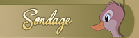 Sondage