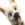 :icon371: