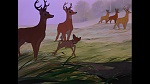 Image Bambi