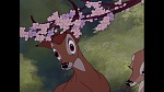 Image Bambi