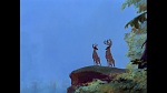 Image Bambi