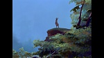 Image Bambi