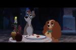 Pr�sentation g�n�rale de La Belle et le Clochard II