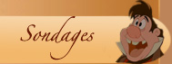 Sondage