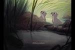 Gallerie d'images de Bambi 