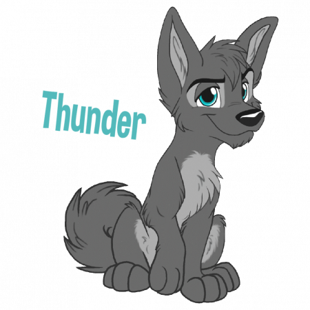 Detail Thunder