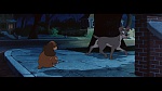 Image The Lady and the Tramp