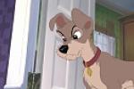 Gallerie d'images de La Belle et le Clochard II 
