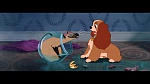 Image The Lady and the Tramp