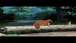 Image The Lady and the Tramp