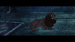 Image The Lady and the Tramp
