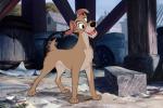 Quelques Anecdotes 