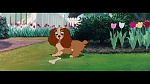 Image The Lady and the Tramp