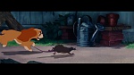 Image The Lady and the Tramp