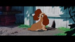 Image The Lady and the Tramp