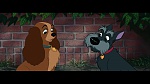 Image The Lady and the Tramp