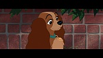 Image The Lady and the Tramp