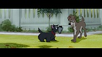 Image The Lady and the Tramp