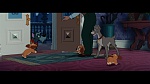 Image The Lady and the Tramp