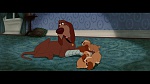 Image The Lady and the Tramp