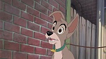 Image Lady and the Tramp II: Scamp's Adventure