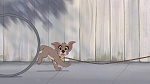 Image Lady and the Tramp II: Scamp's Adventure