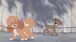 Image Lady and the Tramp II: Scamp's Adventure