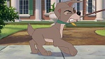 Image Lady and the Tramp II: Scamp's Adventure