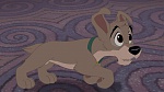 Image Lady and the Tramp II: Scamp's Adventure