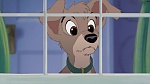 Image Lady and the Tramp II: Scamp's Adventure