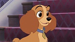 Image Lady and the Tramp II: Scamp's Adventure