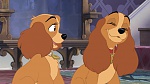 Image Lady and the Tramp II: Scamp's Adventure