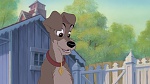 Image Lady and the Tramp II: Scamp's Adventure
