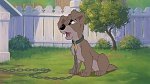Image Lady and the Tramp II: Scamp's Adventure