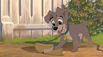 Image Lady and the Tramp II: Scamp's Adventure