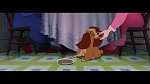 Image The Lady and the Tramp